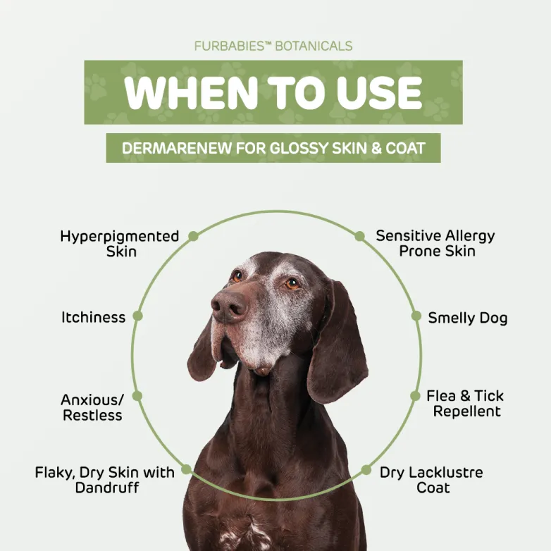 Furbabies Botanicals DermaRenew Lavender Calming Skin & Coat Repair Serum for Itchy, Balding, Smelly Dogs