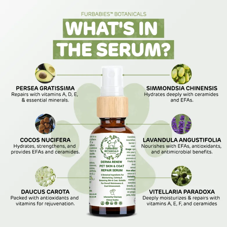 Furbabies Botanicals DermaRenew Lavender Calming Skin & Coat Repair Serum for Itchy, Balding, Smelly Dogs