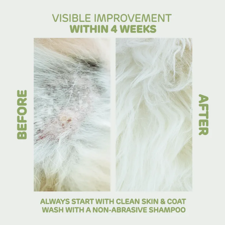 Furbabies Botanicals DermaRenew Lavender Calming Skin & Coat Repair Serum for Itchy, Balding, Smelly Dogs