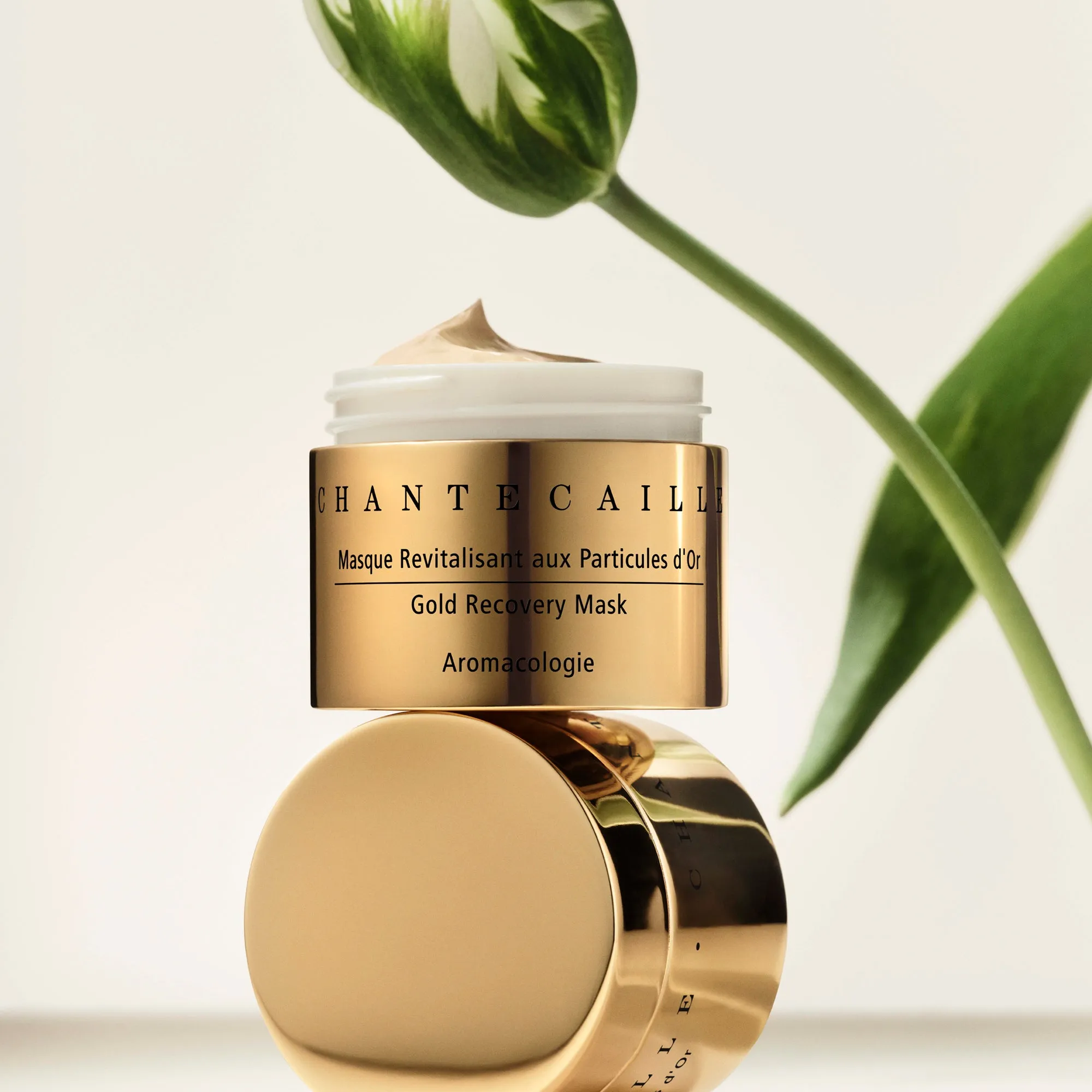 Gold Recovery Mask
