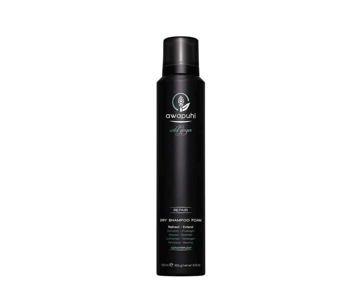 Paul Mitchell Awapuhi Wild Ginger Dry Shampoo Foam Retired Packaging