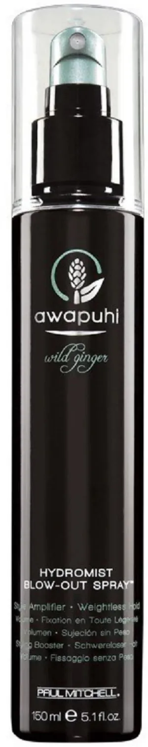 Paul Mitchell Awapuhi Wild Ginger HydroMist Blowout Spray Retired Packaging