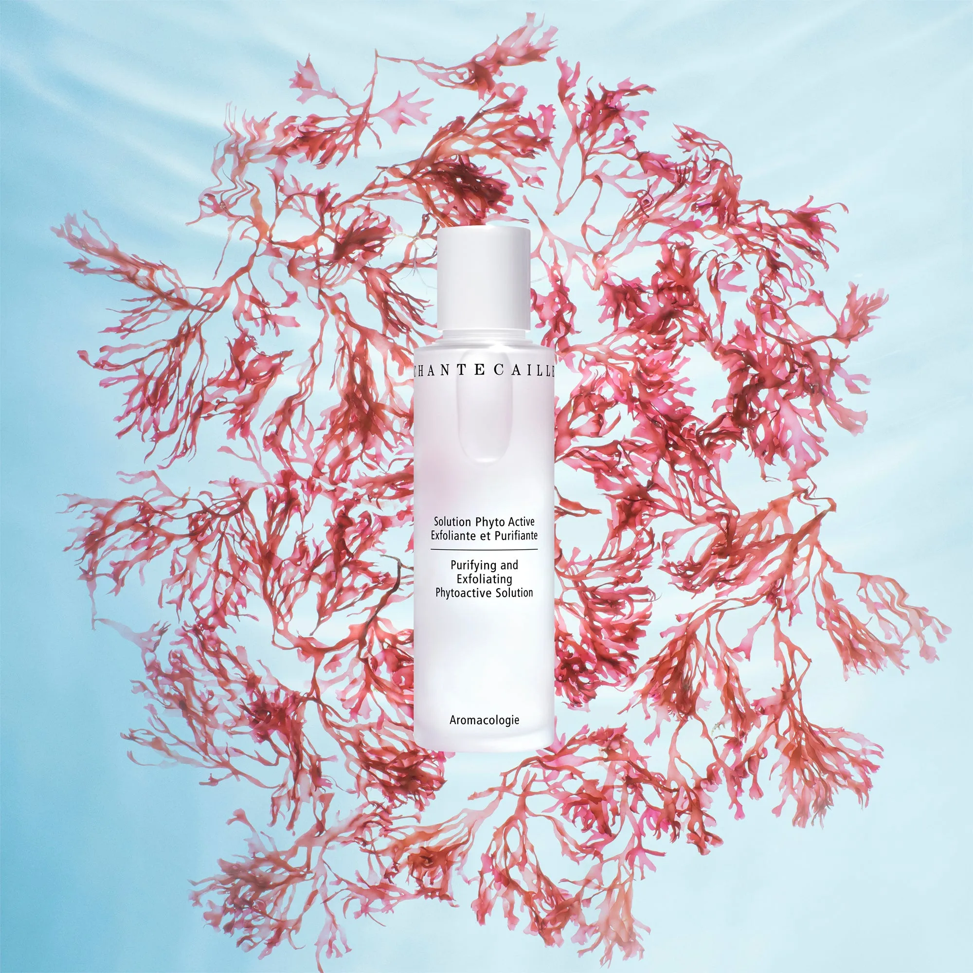 Purifying and Exfoliating Phytoactive Solution