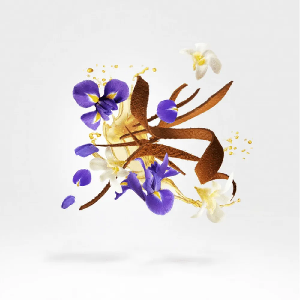 Xerjoff Kemi Collection Aqua Regia Parfum 50ml